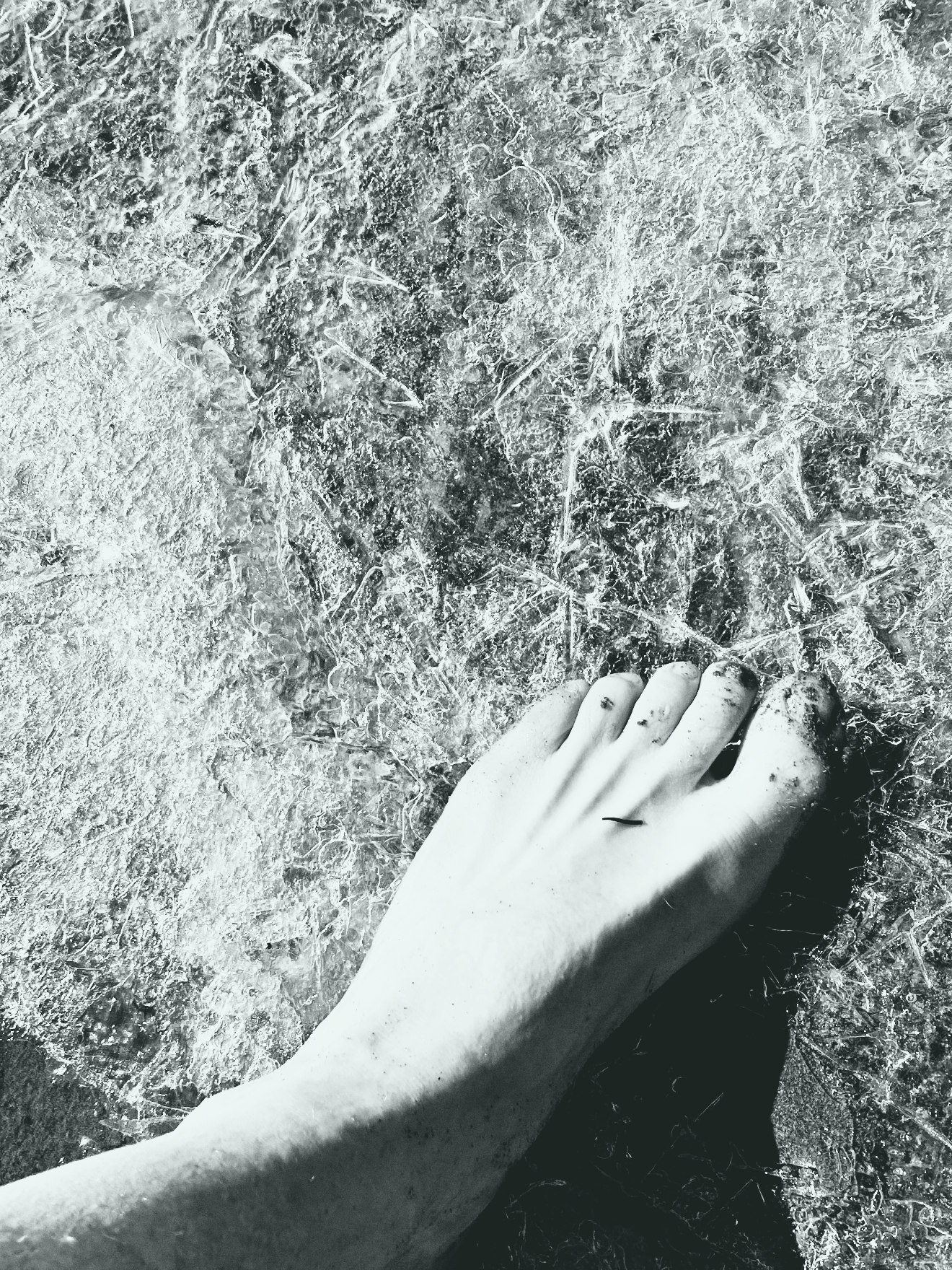 Each step is a gift
